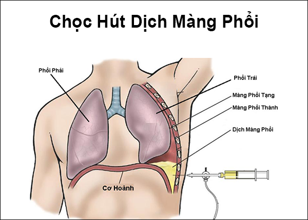 6. Các Ứng Dụng Lâm Sàng