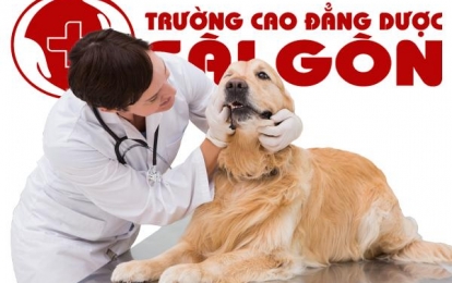 Đánh giá nhu cầu tuyển dụng của ngành thú y tại Việt Nam