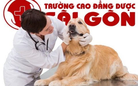 Đánh giá nhu cầu tuyển dụng của ngành thú y tại Việt Nam