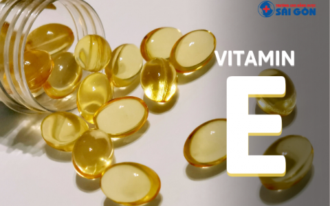 Vitamin E: Những điều cơ bản bạn cần biết