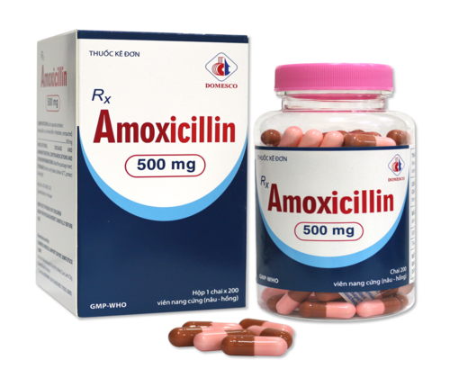 4.-Amoxicillin-500-mg (1)