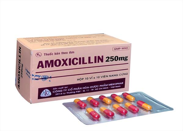 amoxicillin_250mg_h100v_meko_ma25h (1)