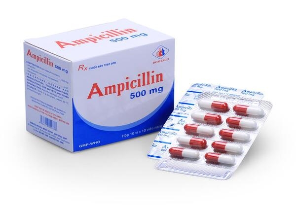 AMPICILLIN-500MG (1)