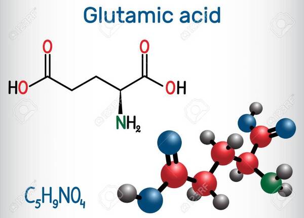 ACID-GLUTAMIC-1024x731 (1)