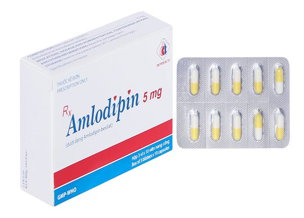 amlodipin-5mg-domesco-hinh-2 (1)