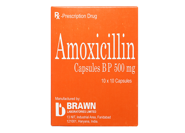 amoxicillin-500mg-brawn-h-100v-4-1 (1)