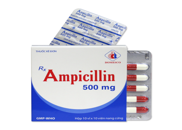 Ampicillin-500-mg - Hop-10-vi-x-10-vien-nang-cung-