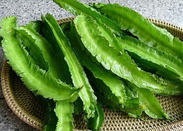 u-rồng (1)