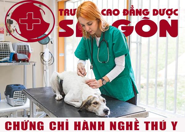 CHUNG-CHI-HANH-NGHE-THU-Y